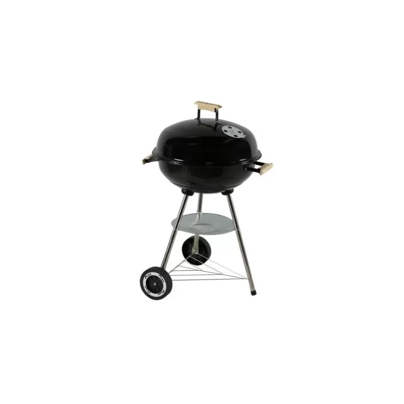 CAO Barbecue Four "Saveur"