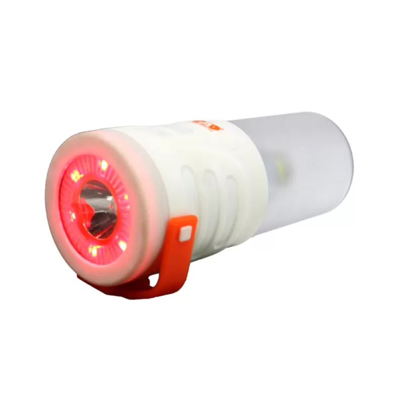 CAO Céleste – Image 7