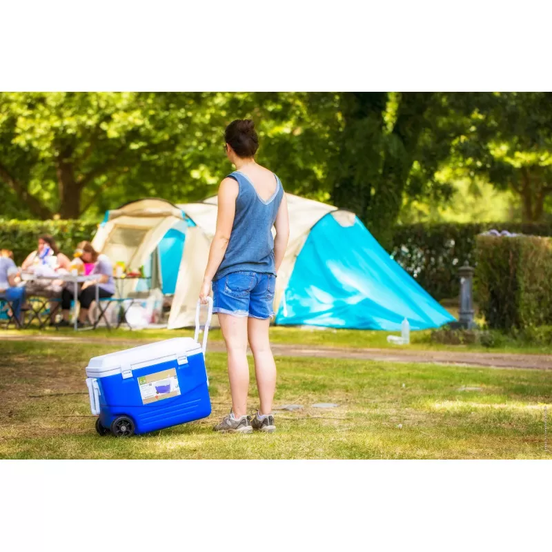 CAO Glacière Rigide à Roulettes – Image 6